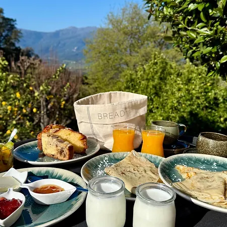 Carpediem Corsica Adult Only 3* Poggio-d'Oletta